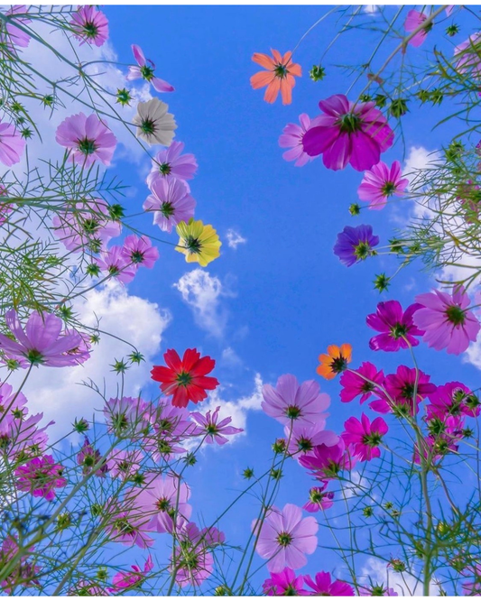 The Girl Who’s Always Running Late (and What It Taught Me About Slowing Down)